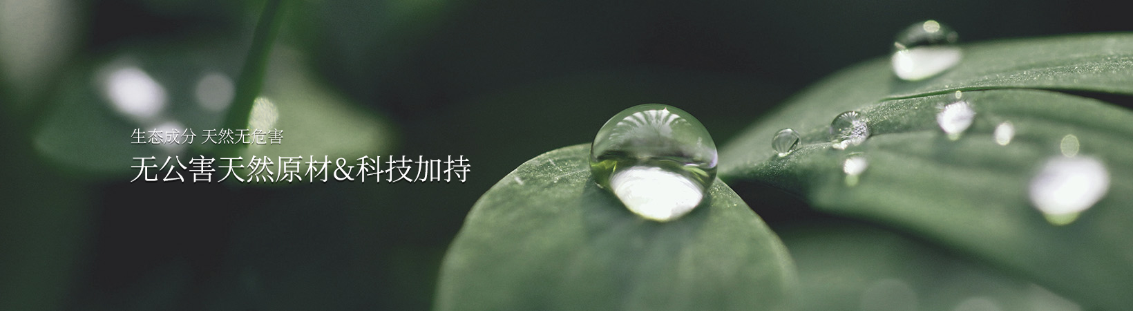 成分说/科研成分